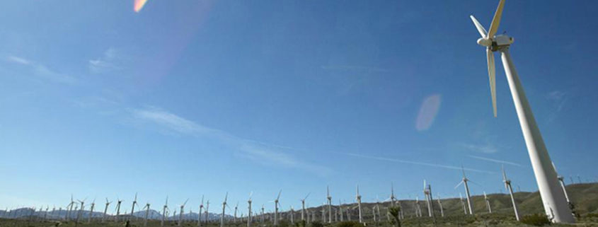 wind-farm Daytime view of a wind farm with a large wind turbine in the forgeground