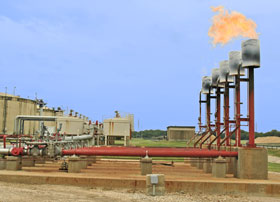 Biogas is flared from a stack at a renewable energy facility