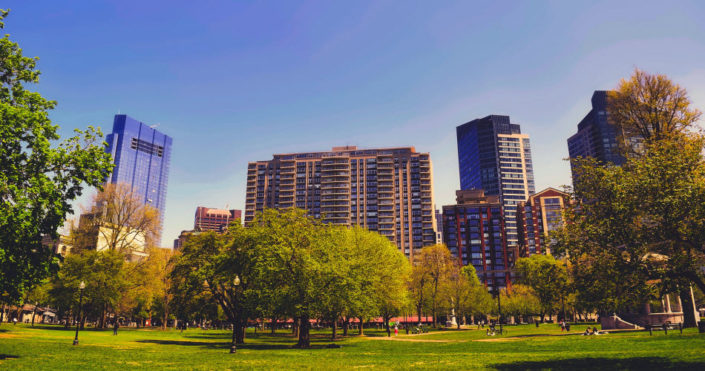 Daytime view of Boston Common showing buildings rising behind the park