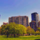 Daytime view of Boston Common showing buildings rising behind the park