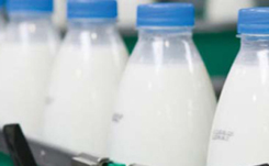 california-dairies-case-study-thumb Bottles of milk move along a packaging line at a California Dairies facility