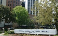 medical-university-of-south-carolina-thumb Medical University of South Carolina sign as seen in the daytime, with the school buildings in the background