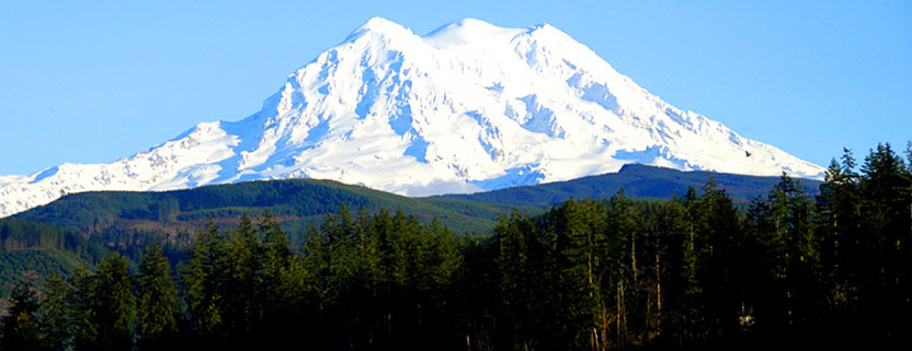 Daytime view of Mount Ranier against a clear., blue sky