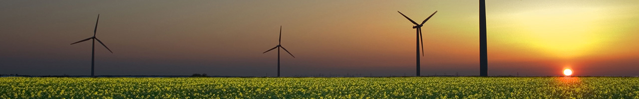 Sunset view of a field with several wind turbines silhouetted against the sky