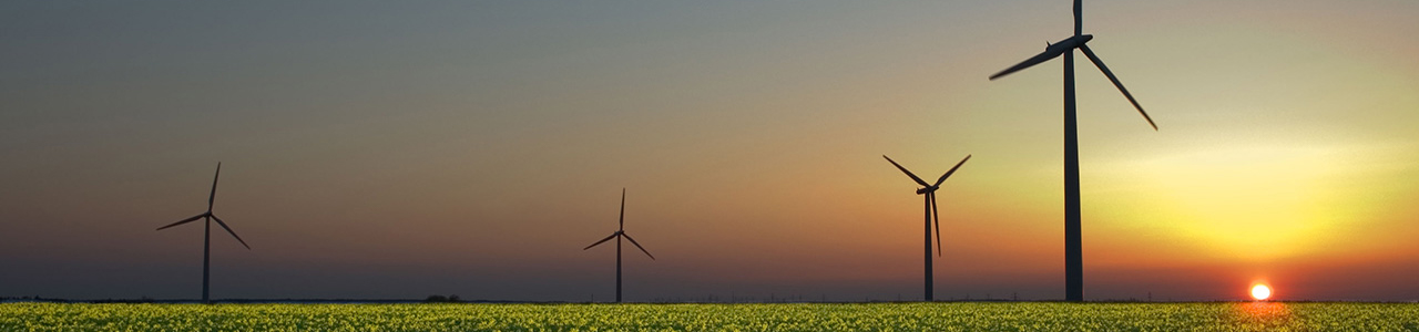 Panoramic view of several wind turbines backlit by a sunrise