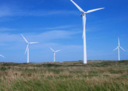 Daytime view of wind turbines at Beale Hill Wind Farm