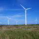 Daytime view of wind turbines at Beale Hill Wind Farm