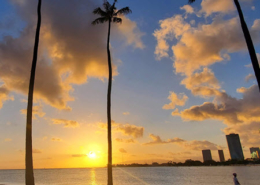 Exterior view of a Hawaii sunset with palm trees along the water and part of a city skyline