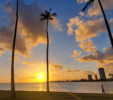 Exterior view of a Hawaii sunset with palm trees along the water and part of a city skyline
