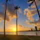 Exterior view of a Hawaii sunset with palm trees along the water and part of a city skyline
