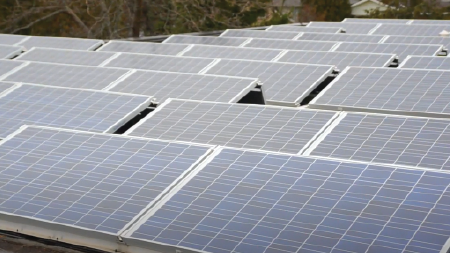 Daytime view of solar panels arranged in a solar farm