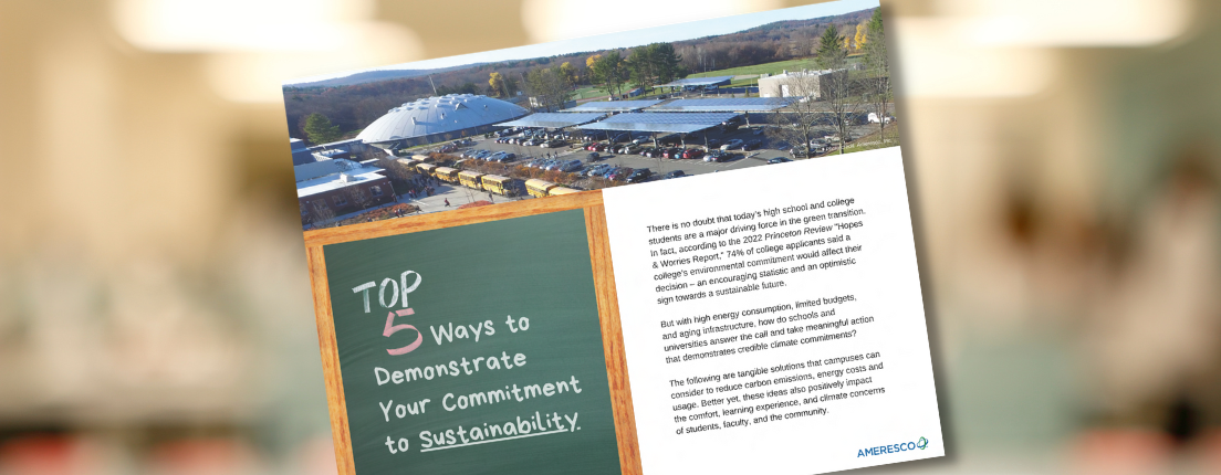 Preview image for Top 5 Ways to Demonstrate Your Commitment to Sustainability ebook shows a capture of the first page including that title