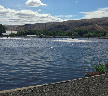 Daytime view of the retaining pond at the City of Selah water treatment plant