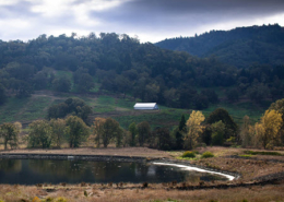 Daytime view of a building on a mountainside near a pond in Roseburg