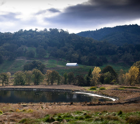 Daytime view of a building on a mountainside near a pond in Roseburg