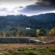 Daytime view of a building on a mountainside near a pond in Roseburg